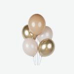 Ballons décoratifs (pack de 20)